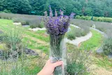香山ラベンダーの丘