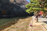 「源氏物語」の明石の君の大堰山荘
　　亀山公園