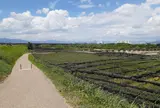 流れ橋（上津屋橋）