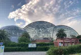 東京都夢の島熱帯植物館