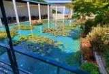 大塚国際美術館