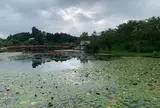 上野池