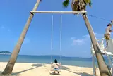 ヤシの木ブランコ