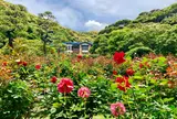 鎌倉文学館