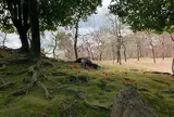 京都 鳥羽伏見界隈散歩　城南宮