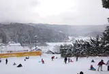 めがひらスキー場
