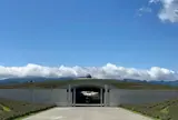 頭大仏（真駒内滝野霊園）