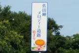 佐田岬メロディーライン