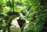 大楠山