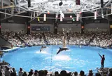 エプソン 品川アクアスタジアム