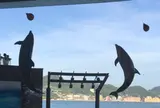 下関市立しものせき水族館・海響館