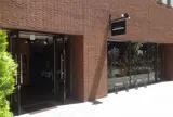 BLACK BRICK PLANTS&GENERAL STORE