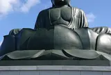 塩澤山 寳光寺 鹿野大佛