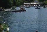井の頭恩賜公園