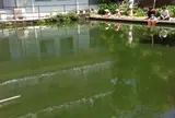 つりぼり衆楽園