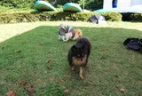 Spesアクティビティ那須