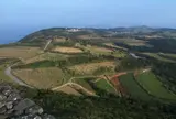 字江城城趾