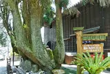 おび天蔵