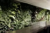 WALL