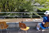 Zelkova Coffee