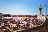 駒沢オリンピック公園
