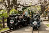 世田谷公園