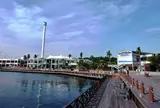 横浜・八景島シーパラダイス(PRESURE LAND)