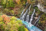 白ひげの滝