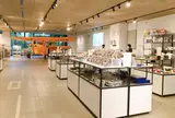 TAKEOFF-SITE