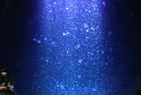 加茂水族館