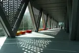 東京都現代美術館