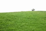武蔵野の森公園