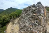 清水山城跡