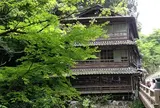 ゆずりは