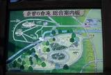 奈曽の白滝