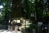 たこ杉