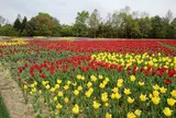 国営備北丘陵公園