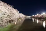 弘前公園