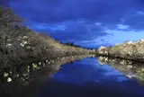弘前公園
