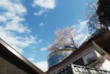 キッチンむささび