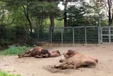 八木山動物公園フジサキの杜