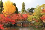 永観堂（禅林寺）