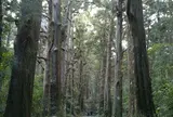 熊野古道大門坂