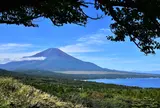 山中湖パノラマ台