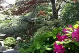 茶寮 宝泉