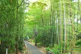 修善寺温泉