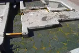 浜の川湧水