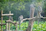 上野動物園
