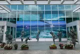 徳島飛行場（徳島空港、徳島阿波おどり空港）