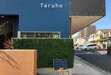 タルホ（Taruho）